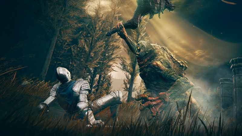 elden ring shadow of the erdtree problema recensioni