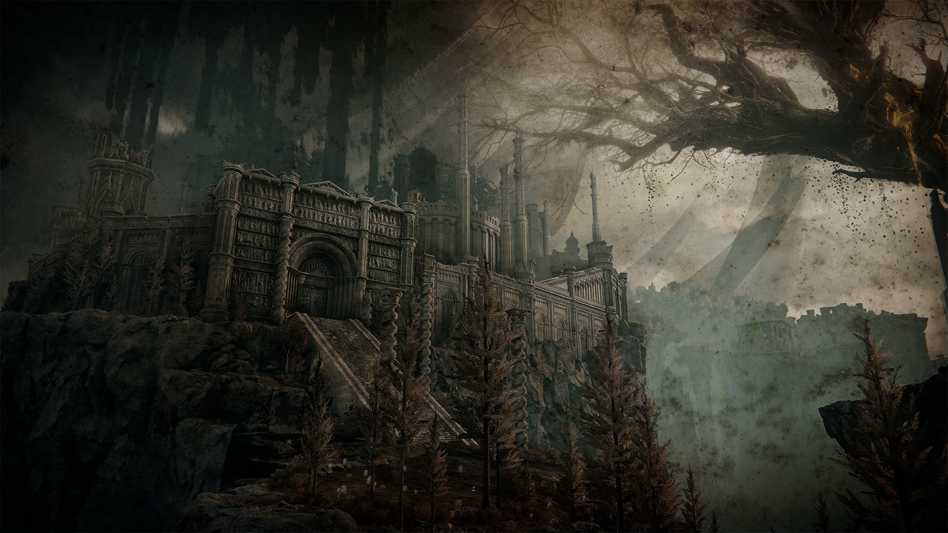 Elden Ring shadow of the erdtree aree segrete